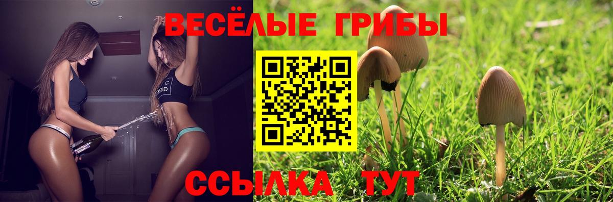 Псилоцибиновые грибы Cubensis Магадан