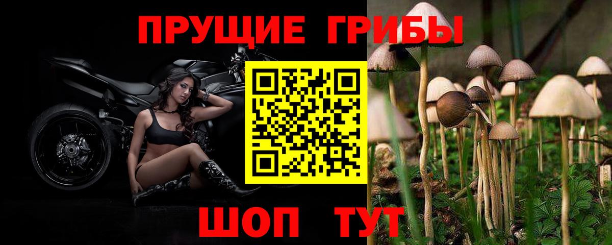 Магадан  Псилоцибиновые грибы Cubensis  наркота  Вход с VPN  Псилоцибиновые грибы мицелий 